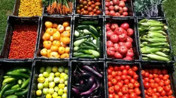 أسعار الخضار اليوم، انخفاض 11 صنفًا منها الطماطم والفلفل والليمون وارتفاع البصل